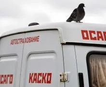 Страхування онлайн не працює без врегулювання збитків через інтернет, компанії (збитків) Страхування онлайн не працює без врегулювання збитків через інтернет, компанії