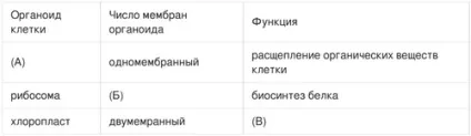 Будова еукаріотичної клітини