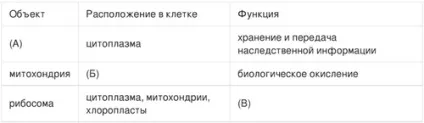 Будова еукаріотичної клітки