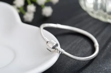 Чи варто купувати срібні прикраси на aliexpress (купувати) Чи варто купувати срібні прикраси на aliexpress
