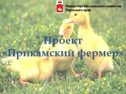Суб'єкти малого підприємництва і малі форми господарювання (договорів суму рублів) Суб'єкти малого підприємництва і малі форми господарювання