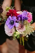 Весільна флористика в деталях анемони (анемони) Весільна флористика в деталях анемони
