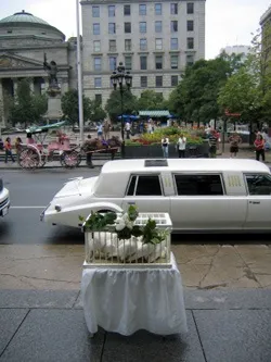 Весільна прогулянка в москві, маршрут весільної прогулянки, весільна прогулянка взимку восени влітку (москві) Весільна прогулянка в москві, маршрут весільної прогулянки, весільна прогулянка взимку восени влітку