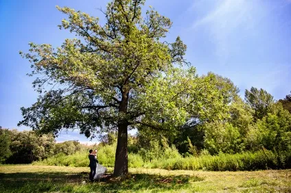 Весілля Олени та Костянтина помічники нареченої і весільна програма, marry me, rustem! (Виїзна реєстрація в Уфі) Весілля Олени та Костянтина помічники нареченої і весільна програма, marry me, rustem!