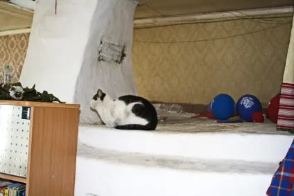 Сухий шов печі