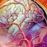 Таблетки від внутрішньочерепного тиску - препарати для лікування у дорослих