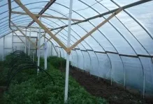 Теплиця своїми руками з труб ПВХ парник за кресленнями, відео та фото, профіль і полікарбонат, з (фото) Теплиця своїми руками з труб ПВХ парник за кресленнями, відео та фото, профіль і полікарбонат, з