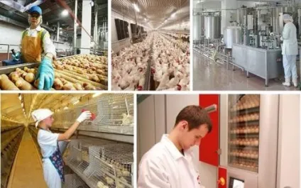 Технології виробництва продукції тваринництва (виробництва) Технології виробництва продукції тваринництва