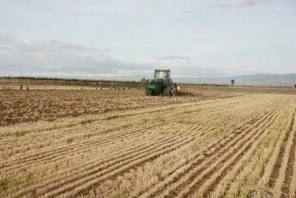 Технологія ноу-тілл (no-till) - система нульового обробітку грунту (технологія) Технологія ноу-тілл (no-till) - система нульового обробітку грунту