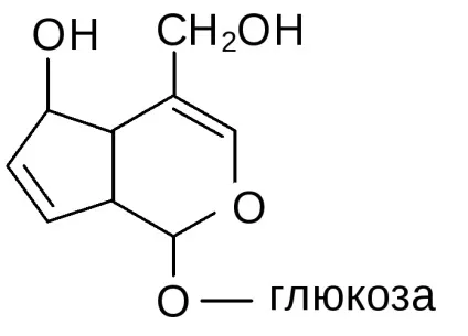 Тема іди