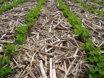 Технологія ноу-тілл (no-till) - система нульового обробітку грунту (ноу-тілл) Технологія ноу-тілл (no-till) - система нульового обробітку грунту