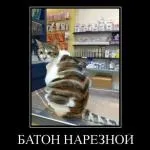 Боюся серйозних відносин