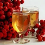 болотний шабельник