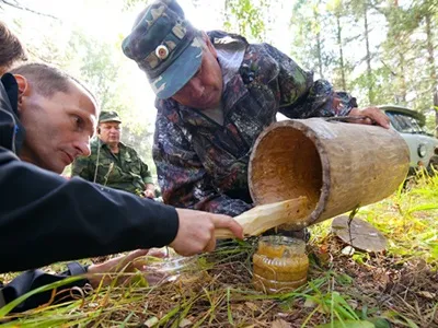 Бортевой мед корисні властивості, фото (фото) Бортевой мед корисні властивості, фото