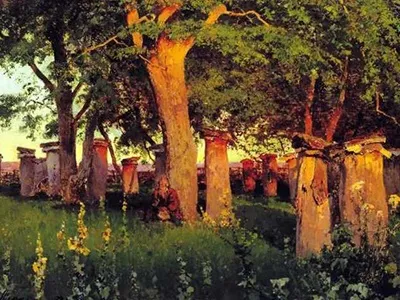 Бортевой мед корисні властивості, фото (властивості) Бортевой мед корисні властивості, фото
