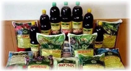 Боремося з білої і чорної цвіллю на огірках в теплиці (білої) Боремося з білої і чорної цвіллю на огірках в теплиці
