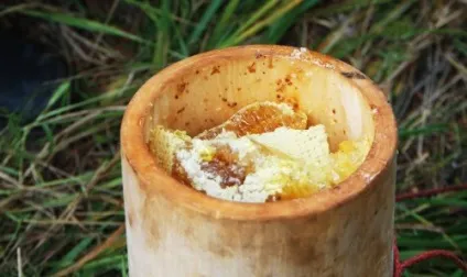 Бортевой мед корисні властивості і застосування (бортевой) Бортевой мед корисні властивості і застосування