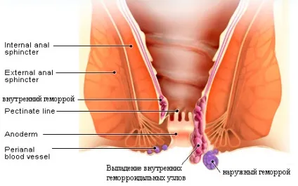 Хвороби вуха у людей - як правильно лікувати