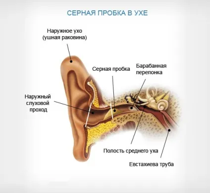 Біль за вухом при натисканні на кістку (біль) Біль за вухом при натисканні на кістку