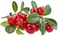 Топ-10 продуктів, корисних для серця і судин (корисних) Топ-10 продуктів, корисних для серця і судин
