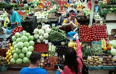 Томський препарат з наночастинками срібла почали застосовувати в мексиці для лікування собак - сибір (наночастинками) Томський препарат з наночастинками срібла почали застосовувати в мексиці для лікування собак - сибір