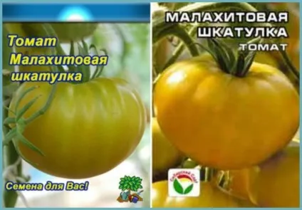 Томат малахітова шкатулка характеристика та опис сорту, відгуки, фото (томат) Томат малахітова шкатулка характеристика та опис сорту, відгуки, фото