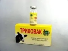 Трихофітія - причини, лікування, класифікація, діагностика (трихофітія) Трихофітія - причини, лікування, класифікація, діагностика