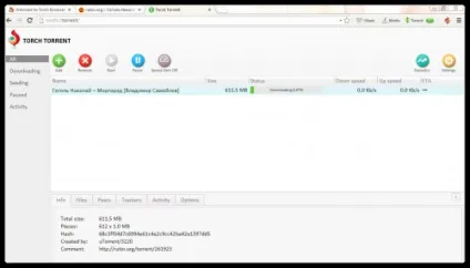 Torch browser - піратський браузер на основі chromium