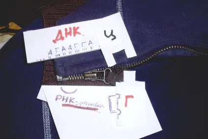 Транспортні РНК, будова і функціональний механізм (третинної структури тРНК) Транспортні РНК, будова і функціональний механізм