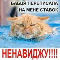 Вчимося грубіянити інтелігентно 1