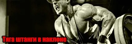Тяга штанги в нахилі - як накачати спину (накачати) Тяга штанги в нахилі - як накачати спину