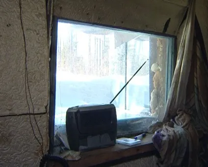 Вбивця 10 років прожив у лісі, ховаючись від міліції (по-звірячому) Вбивця 10 років прожив у лісі, ховаючись від міліції