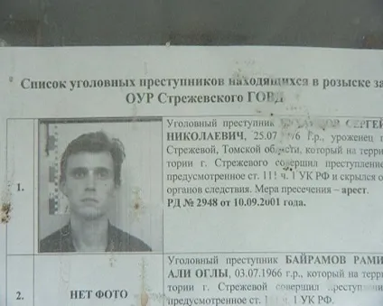 Вбивця 10 років прожив у лісі, ховаючись від міліції (колоди) Вбивця 10 років прожив у лісі, ховаючись від міліції