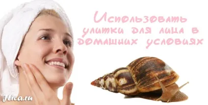 Равлики для особи масаж, засоби та відгуки про застосування (особи) Равлики для особи масаж, засоби та відгуки про застосування