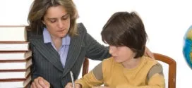 Послуги маніпулятора як бізнес (послуги) Послуги маніпулятора як бізнес