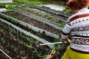 Розумний город - грядки в облатках (грядки) Розумний город - грядки в облатках
