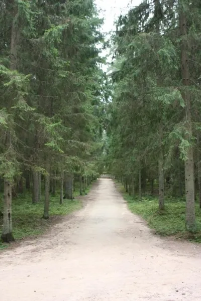 Садиба «Михайлівське» в псковської області (Пушгорах) Садиба «Михайлівське» в псковської області