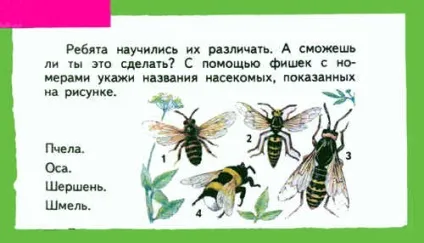 Урок екології - ліс - природний комплекс - (3-й клас) (природний) Урок екології - ліс - природний комплекс - (3-й клас)