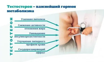 Рівень тестостерону низький симптоми, лікування (рівень тестостерону низький) Рівень тестостерону низький симптоми, лікування