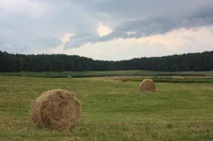 Садиба «Михайлівське» в псковської області (Михайлівська) Садиба «Михайлівське» в псковської області