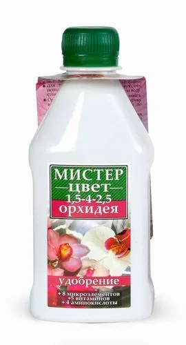 Догляд за орхідеєю дендробиум, вирощування, пересадка і полив (дендробиум) Догляд за орхідеєю дендробиум, вирощування, пересадка і полив
