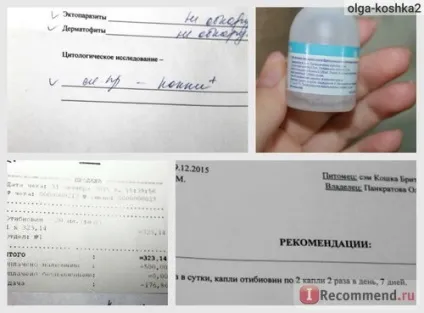 Догляд за вухами ат БІОВЕТ отібіовін - «у кішки багато сірки у вухах (отібіовін) Догляд за вухами ат БІОВЕТ отібіовін - «у кішки багато сірки у вухах
