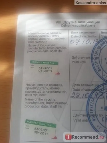 Вакцина Нобівак трікет - «вакцина Нобівак трікет (вакцина) Вакцина Нобівак трікет - «вакцина Нобівак трікет