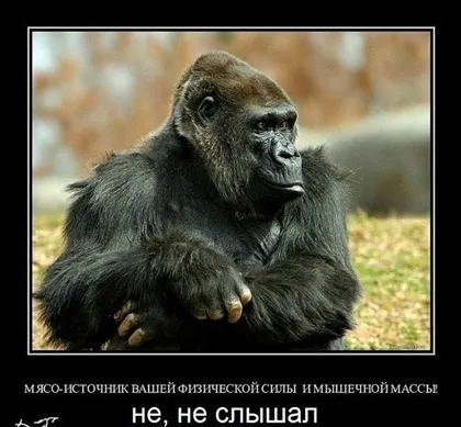 Вед шкоду м'яса очевидний, так як воно вбиває нас зсередини (очевидний) Вед шкоду м'яса очевидний, так як воно вбиває нас зсередини