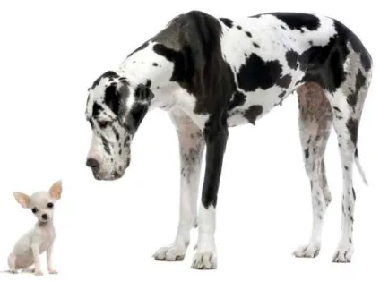 У чому різниця між small і little