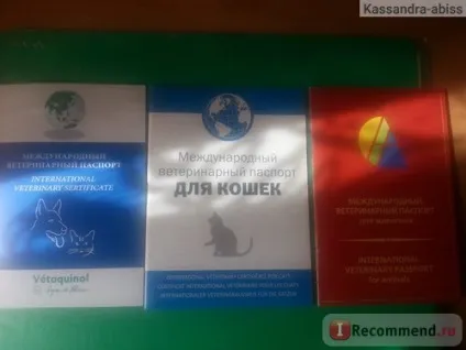 Вакцина Нобівак трікет - «вакцина Нобівак трікет (вакцина дала поштовх) Вакцина Нобівак трікет - «вакцина Нобівак трікет