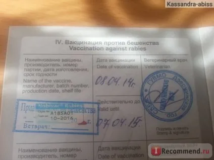Вакцина Нобівак трікет - «вакцина Нобівак трікет (вакцина дала поштовх) Вакцина Нобівак трікет - «вакцина Нобівак трікет