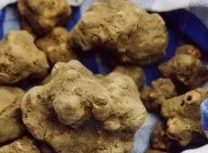 Види і сорти цибулі і їх фото способи зберігання в домашніх умовах, приготування (лука) Види і сорти цибулі і їх фото способи зберігання в домашніх умовах, приготування