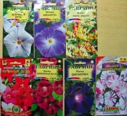 Вибір насіння квітів - прописні істини для початківця квітникаря (як вибрати насіння) Вибір насіння квітів - прописні істини для початківця квітникаря