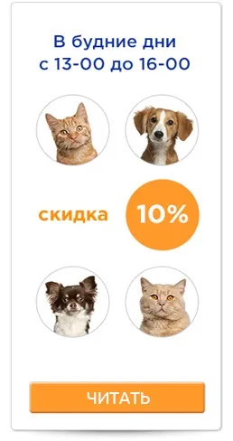 Ветеринарна стоматологія в клініці «аверс», Київ (ветеринарна клініка стоматологія) Ветеринарна стоматологія в клініці «аверс», Київ